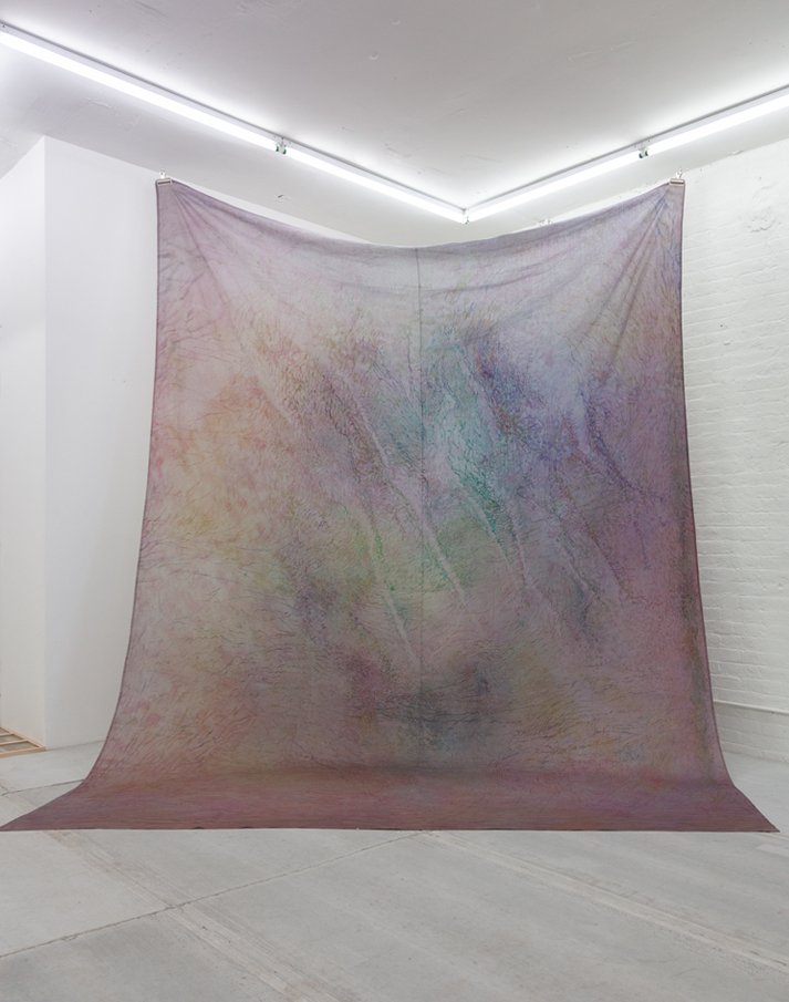  Installation view, Alina Bliumis,  Imagination Nation , Elma, NY;   Bruise Series , 2021, watercolor on printed linen, 147 x 112 inches, photo by Ege Okal 