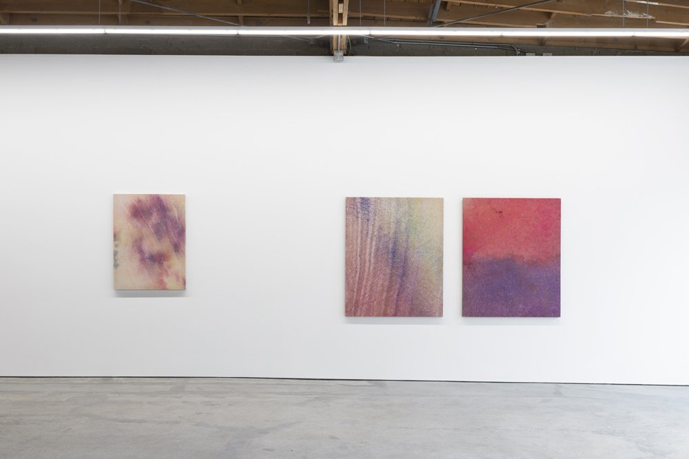  Installation view, Alina Bliumis,  Borders and Bruises,  Anna Zorina Gallery, LA, June 3 -July 9, 2022 