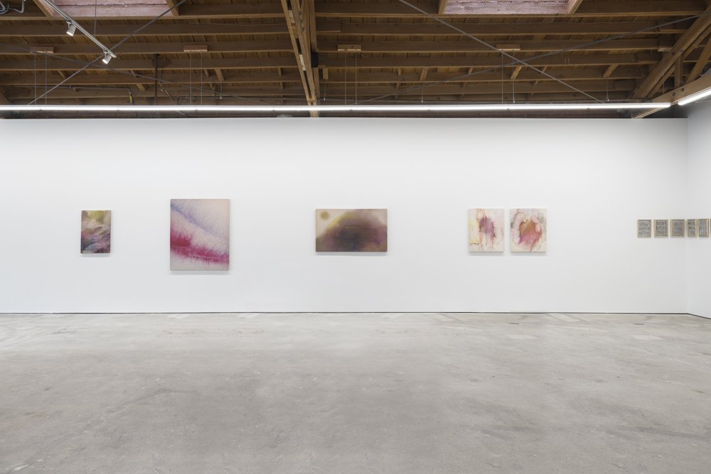  Installation view, Alina Bliumis,  Borders and Bruises,  Anna Zorina Gallery, LA, June 3 -July 9, 2022 