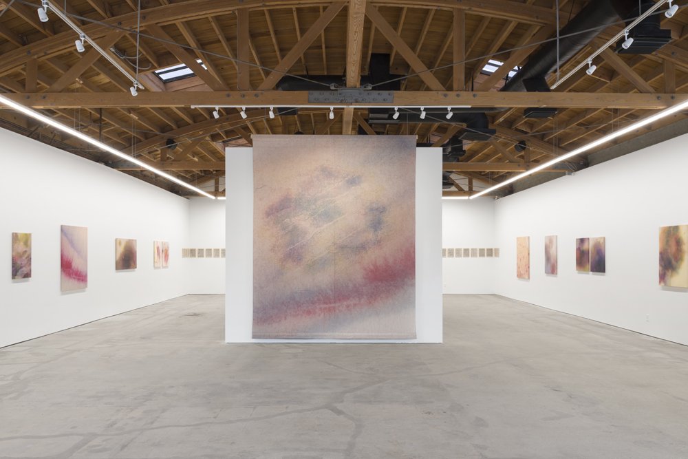  Installation view, Alina Bliumis,  Borders and Bruises,  Anna Zorina Gallery, LA, June 3 -July 9, 2022 
