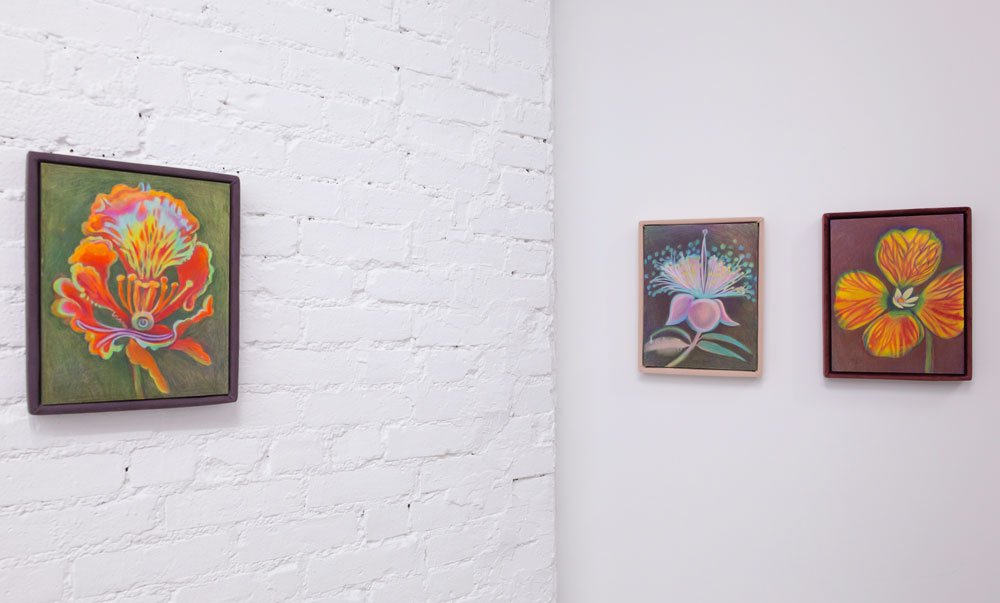    Installation view: Alina Bliumis Plant Parenthood, Situations, NY, February 24-April 2, 2023   