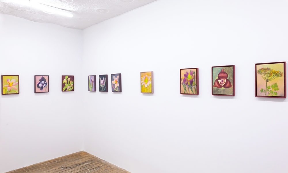    Installation view: Alina Bliumis Plant Parenthood, Situations, NY, February 24-April 2, 2023   