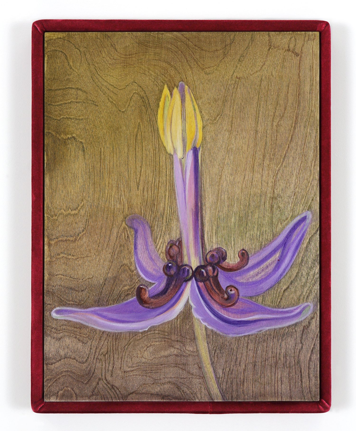 AlinaBliumis_PlantParenthood_Fertility_+Epimedium_2023_WatercolorOnWood_VelvetFrame_17x13x1.5in.jpeg