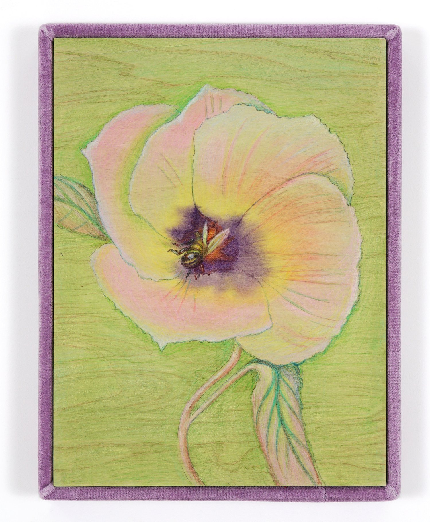 AlinaBliumis_PlantParenthood_Fertility_Damiana_2023_WatercolorOnWood_VelvetFrame_17x13x1.5in.jpeg