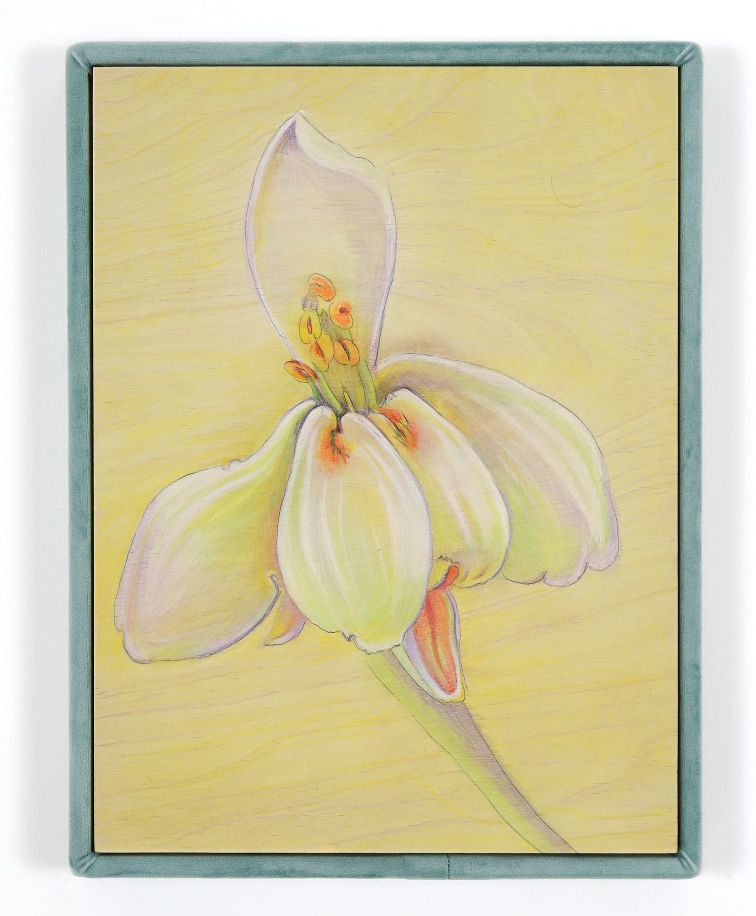 AlinaBliumis_PlantParenthood_Fertility_Moringa_2023_WatercolorOnWood_VelvetFrame_17x13x1.5in.jpeg