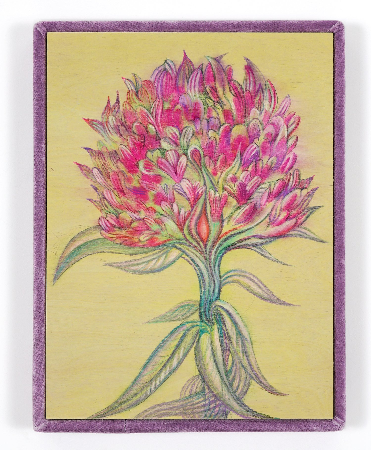 AlinaBliumis_PlantParenthood_Fertility_RedClover_2023_WatercolorOnWood_VelvetFrame_17x13x1.5in.jpeg