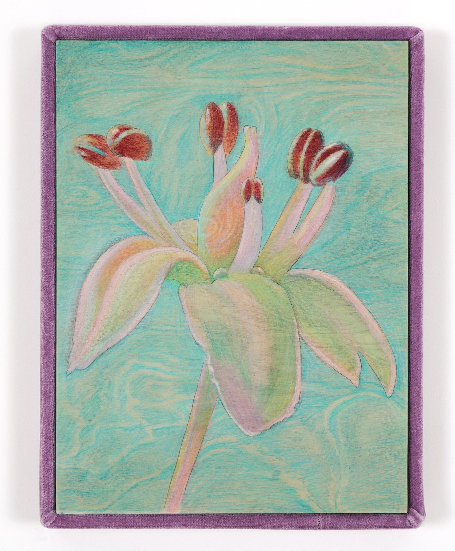 AlinaBliumis_PlantParenthood_Fertility_Shatavari_2023_WatercolorOnWood_VelvetFrame_17x13x1.5in.jpeg