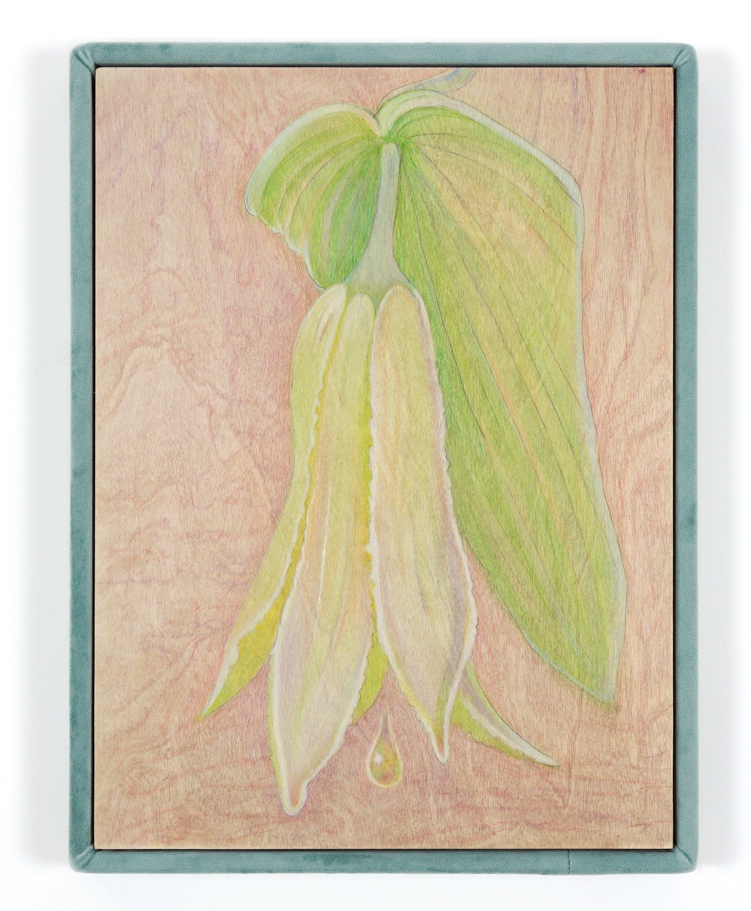 AlinaBliumis_PlantParenthood_Fertility_WildOats_2023_WatercolorOnWood_VelvetFrame_17x13x1.5in.jpeg