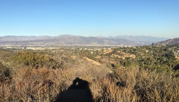 On New Year's Eve, reflecting with my boyfriend on the end of our "cancer year, " as we looked ahead. 