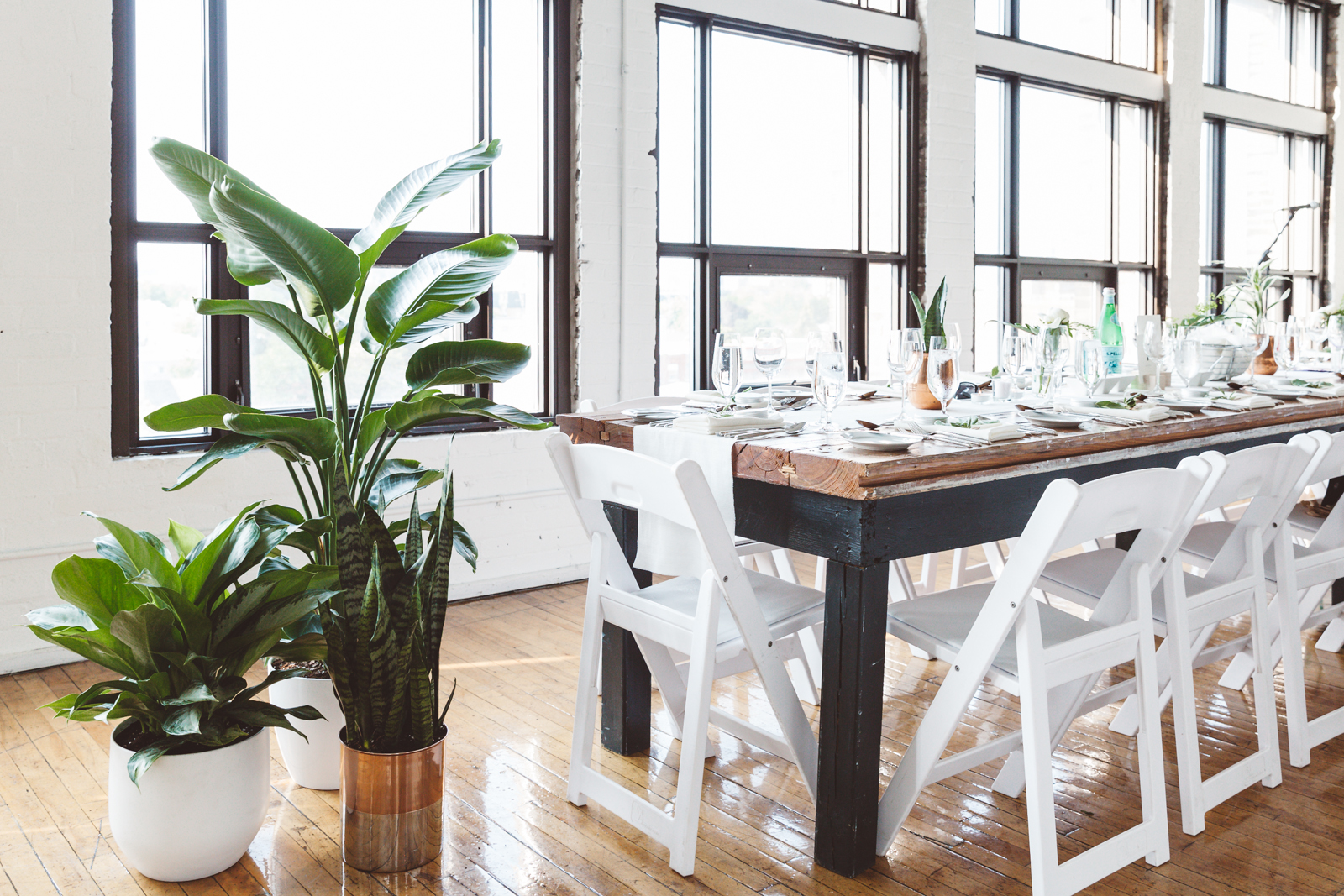 Tropical plants were used throughout the space to give a fresh and modern feel. Plant design by Timberlost & Humblebound.