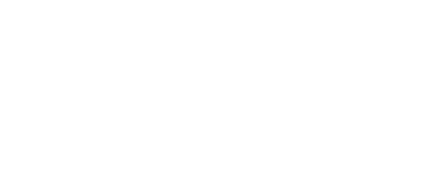 Rock the Moon Productions