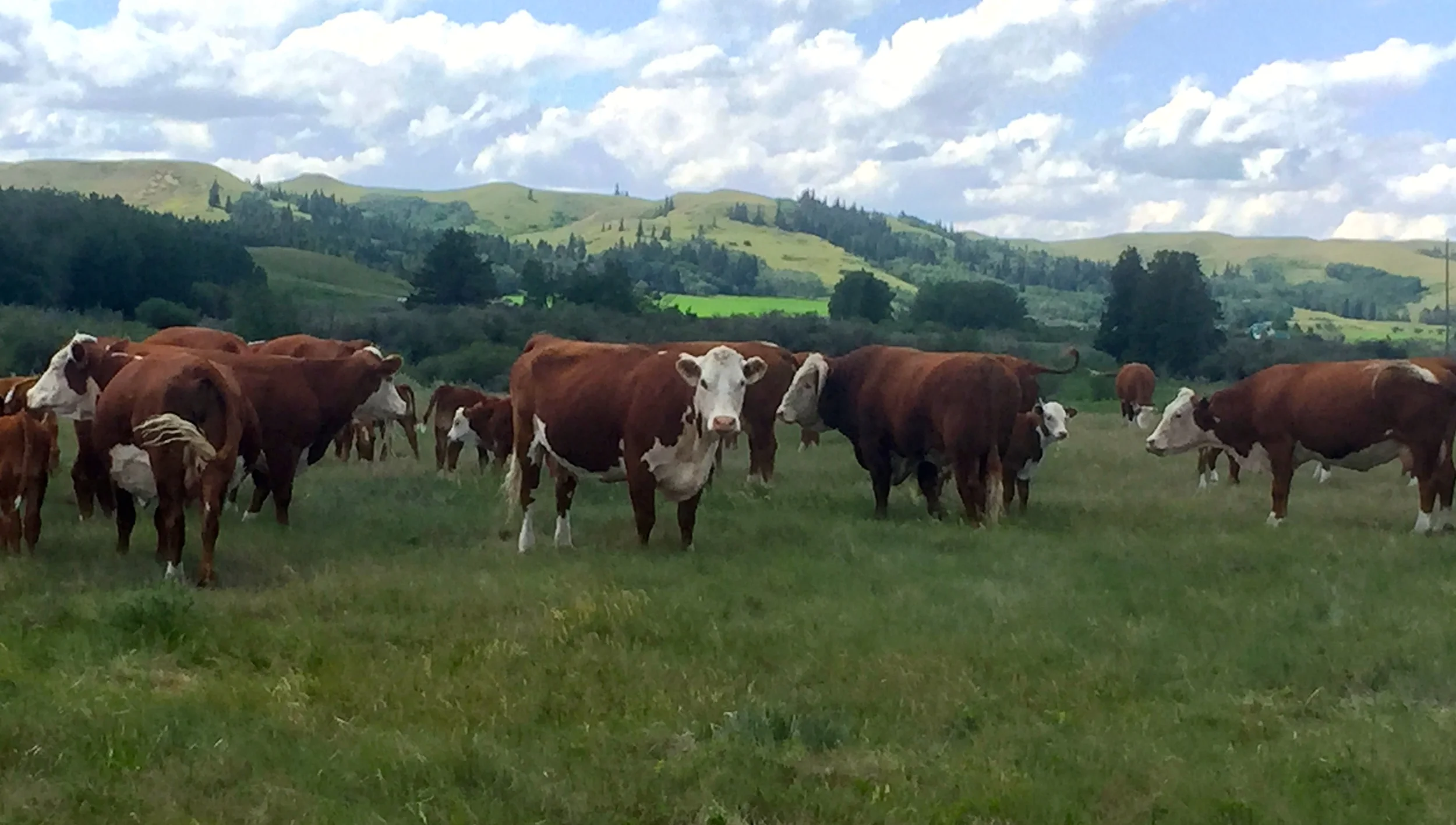  19A out working&nbsp; 