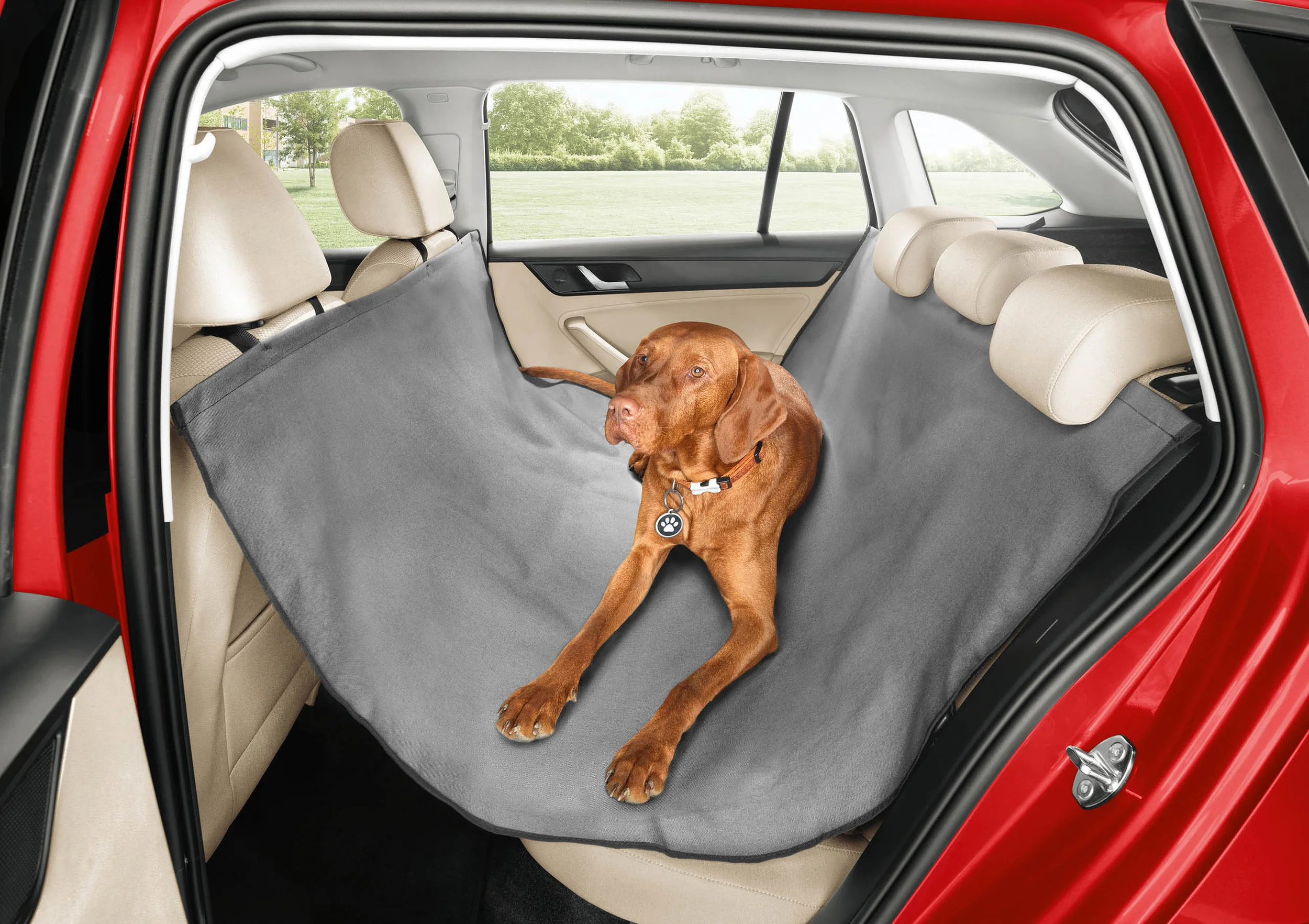 Skoda reveals doggy seat belt