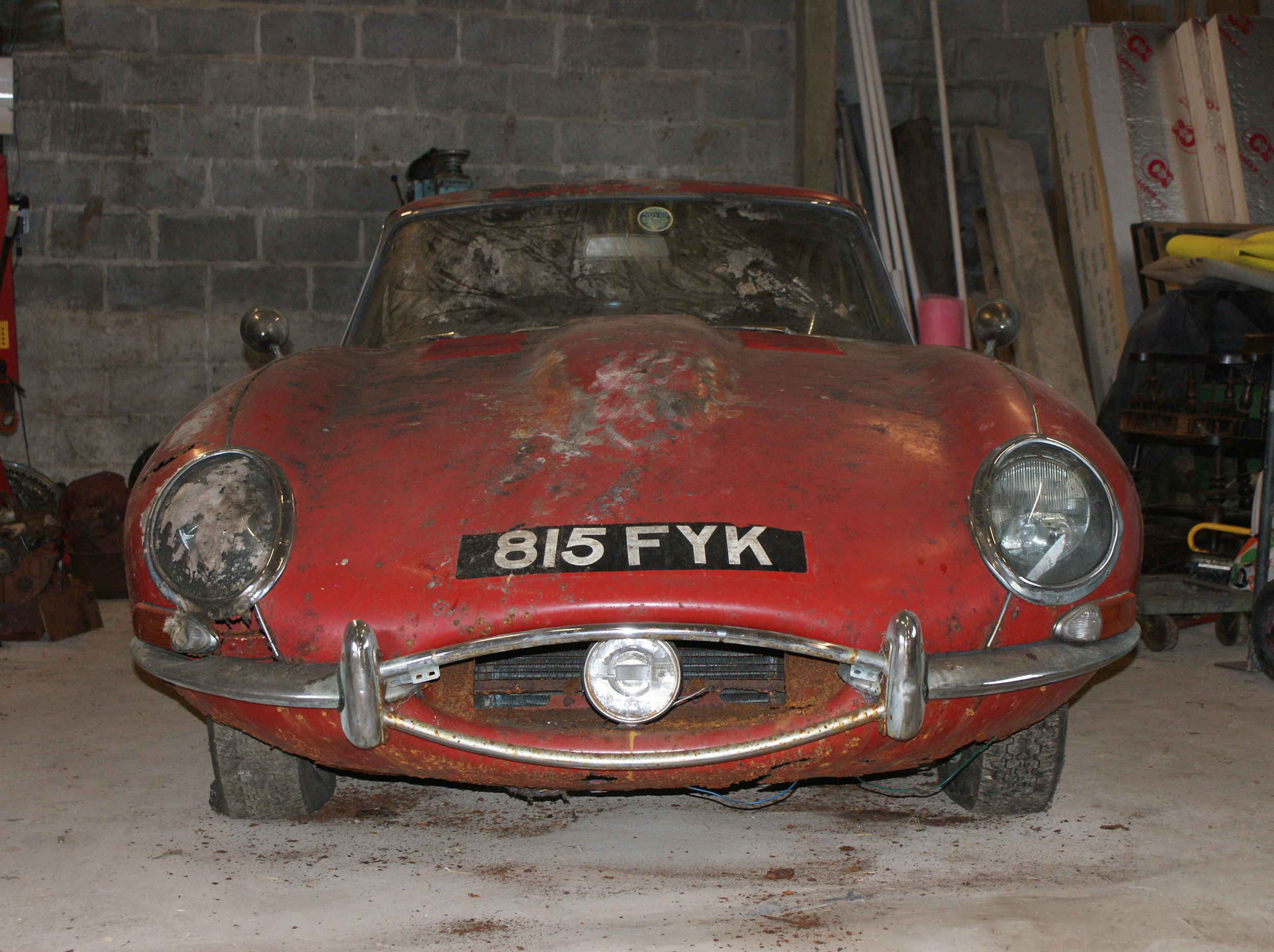 95608Coys1.jpg