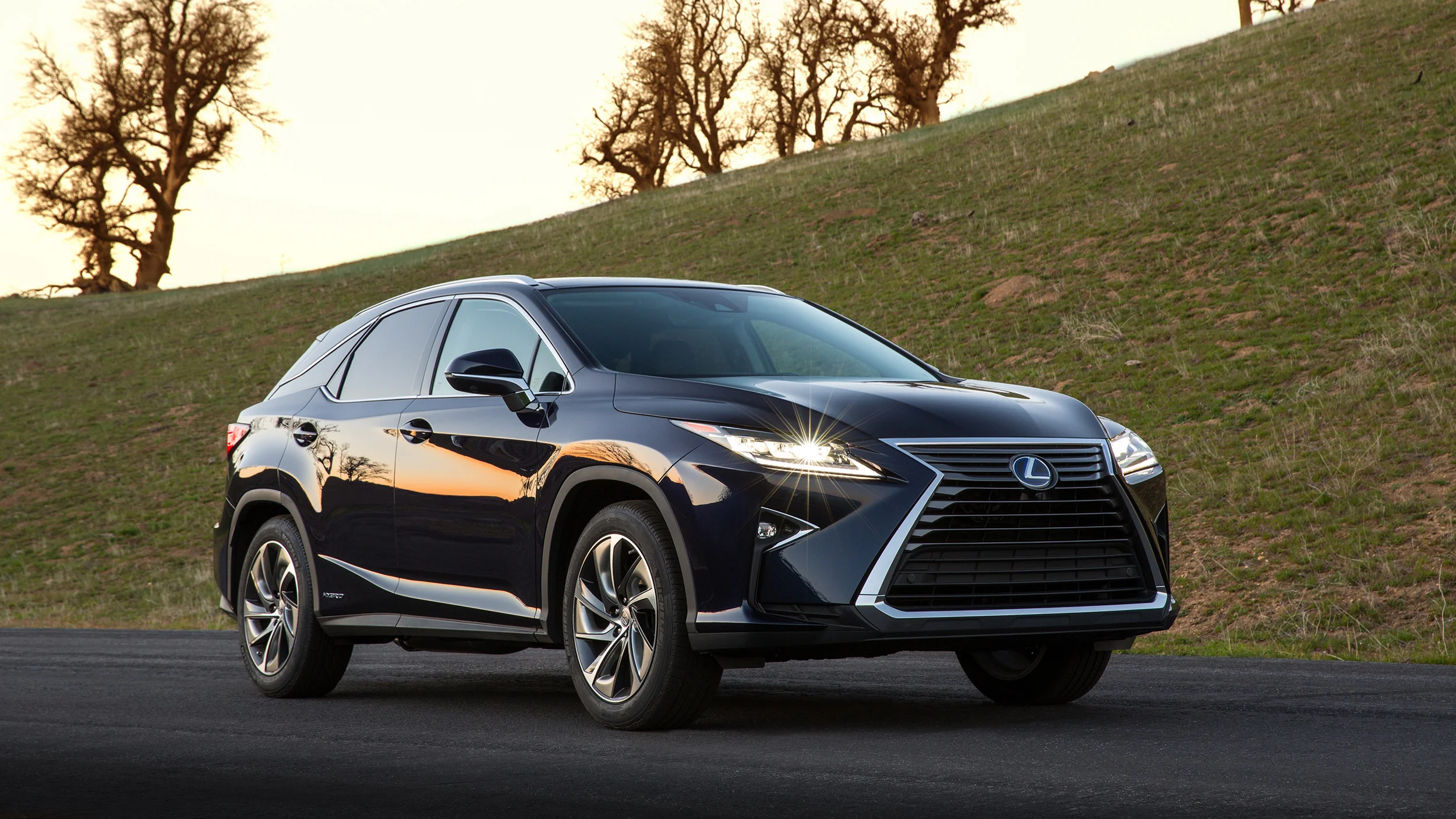 VIDEO: All-new Lexus RX makes world debut