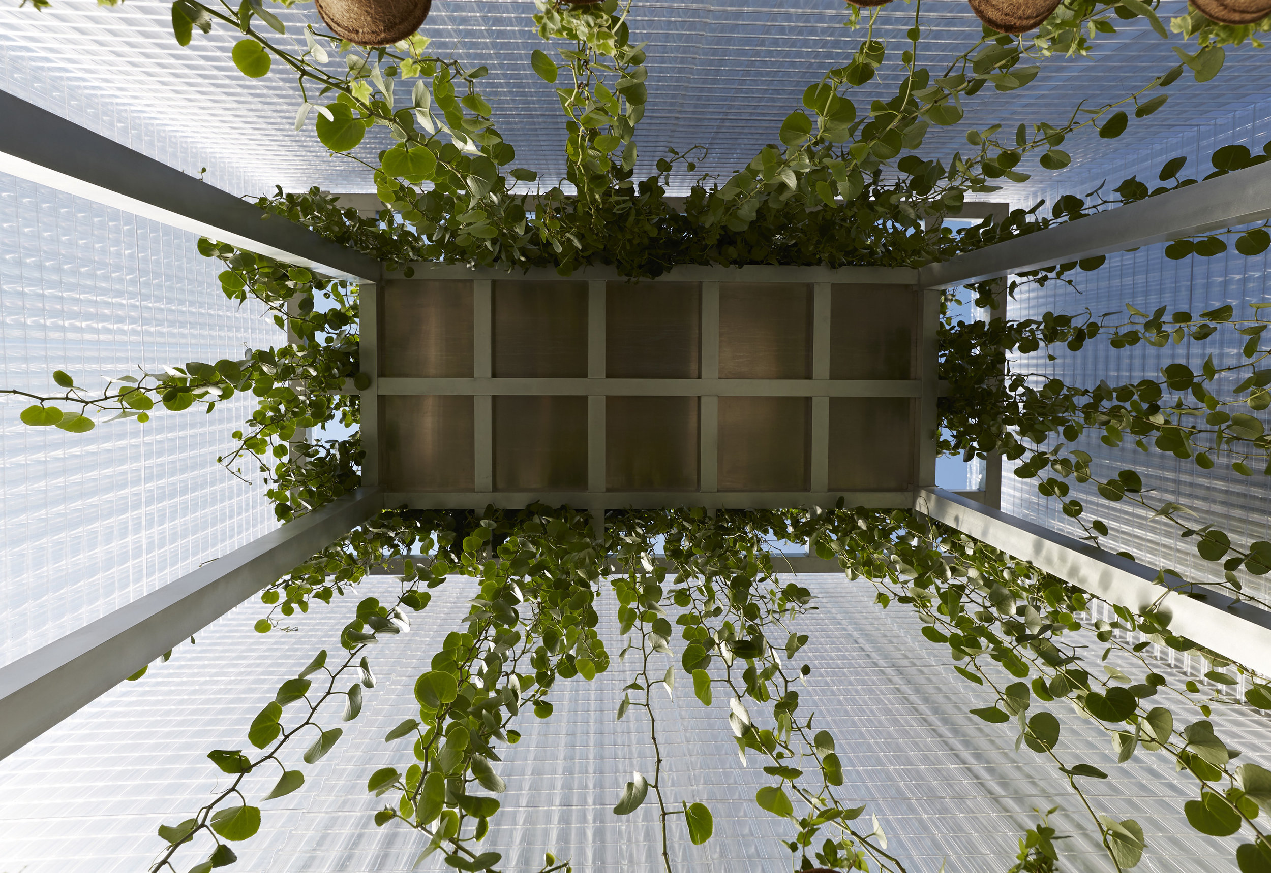 P90233777_highRes_mini-living-forests-.jpg