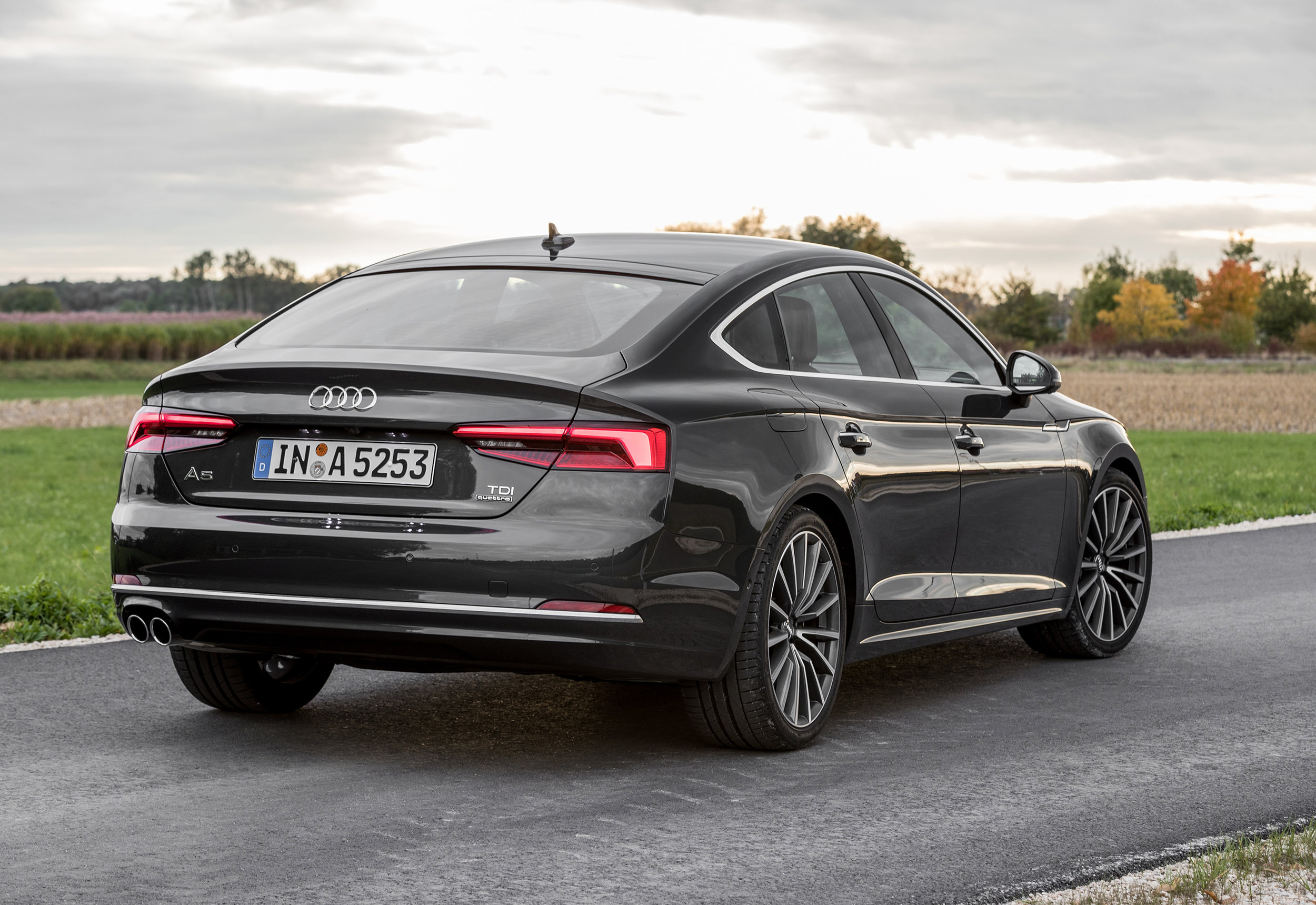 A5 Sportback 1.jpg