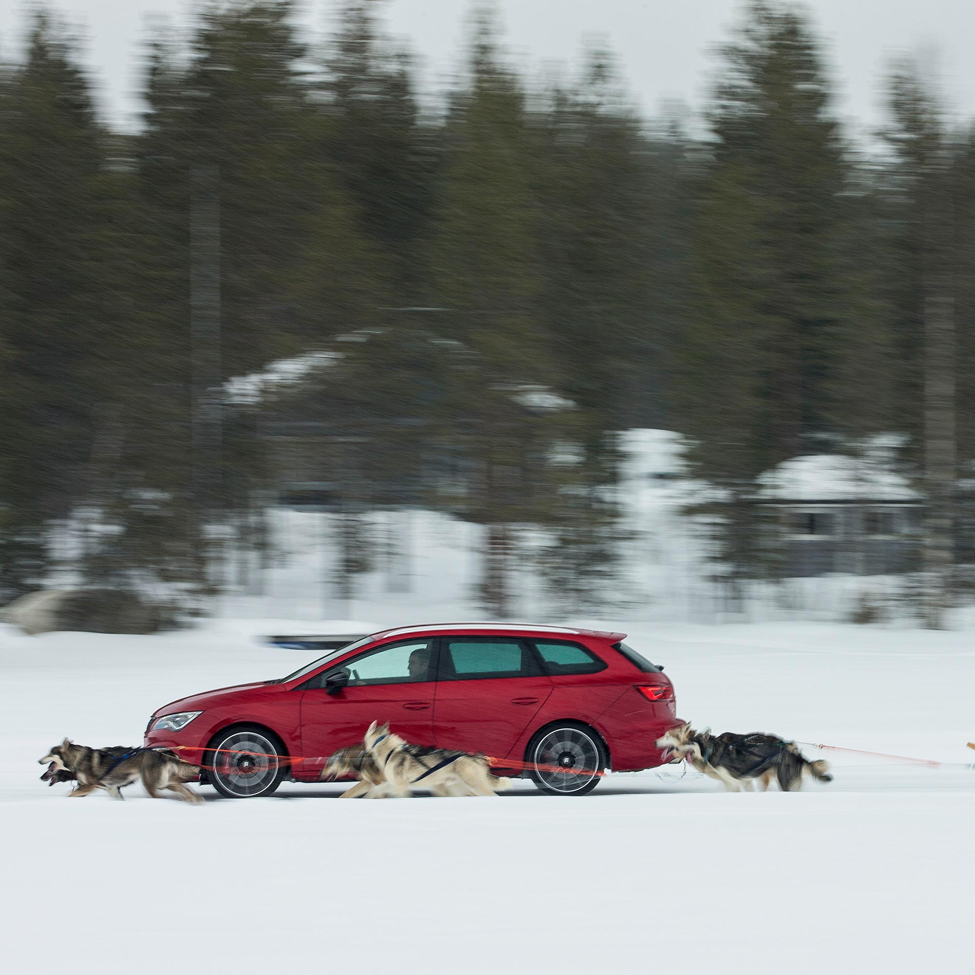 VIDEO: SEAT Leon Cupra 300 takes on huskies in ice-race challenge