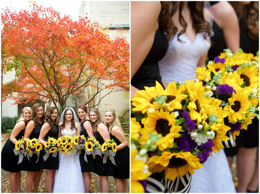 Photography by Mandi Mitchell
