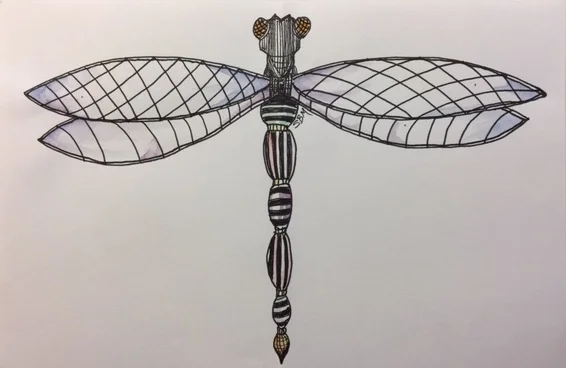dragonfly2.jpg