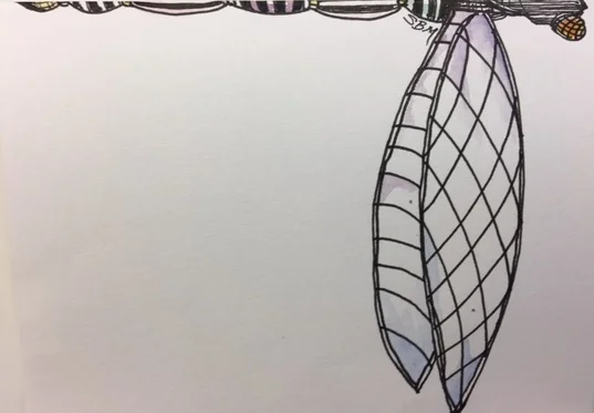 dragonfly1.jpg