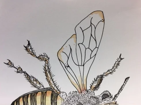 bee4.jpg