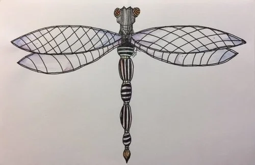 dragonfly2.jpg