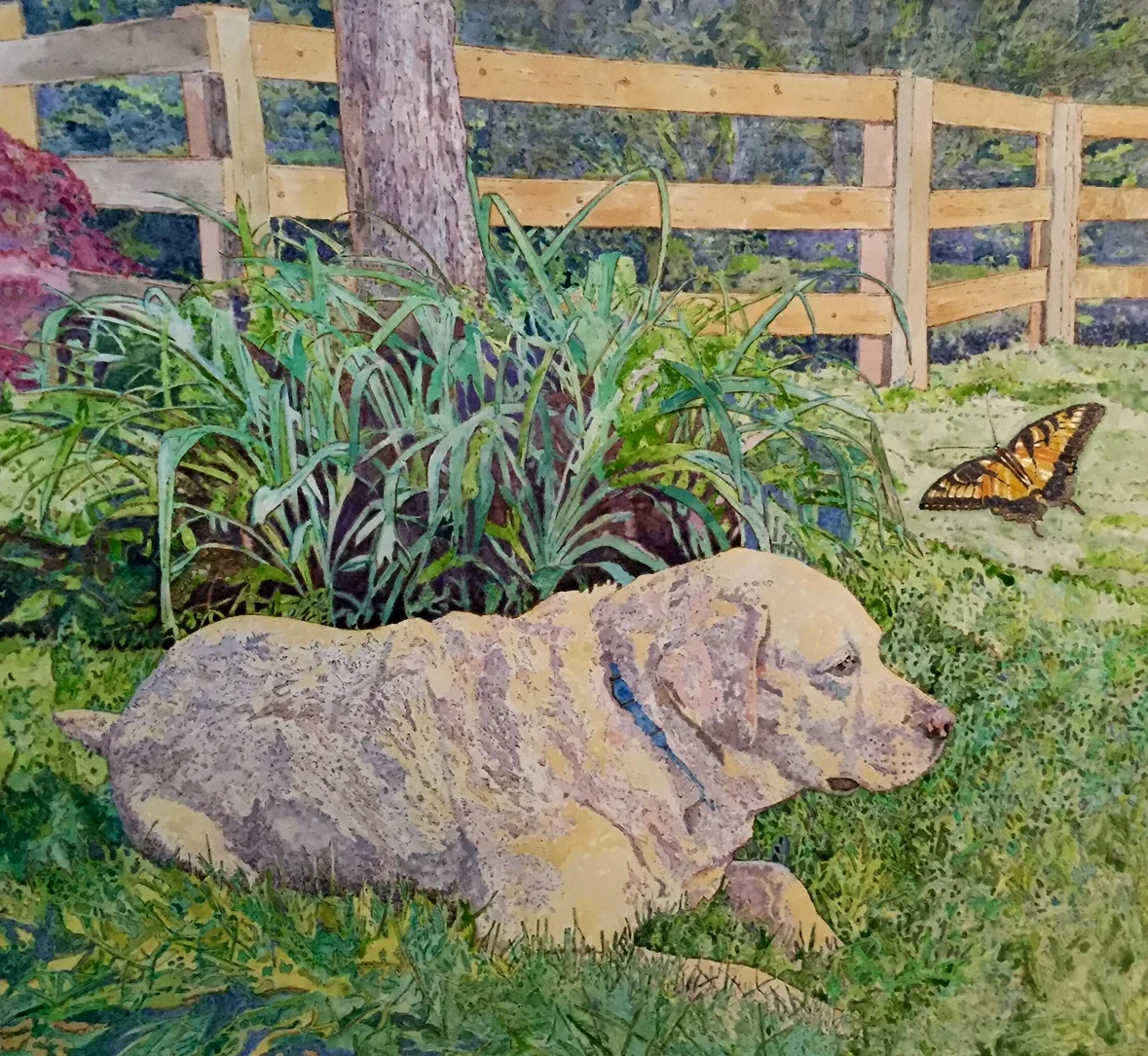  Oblivious  24" x 24" 