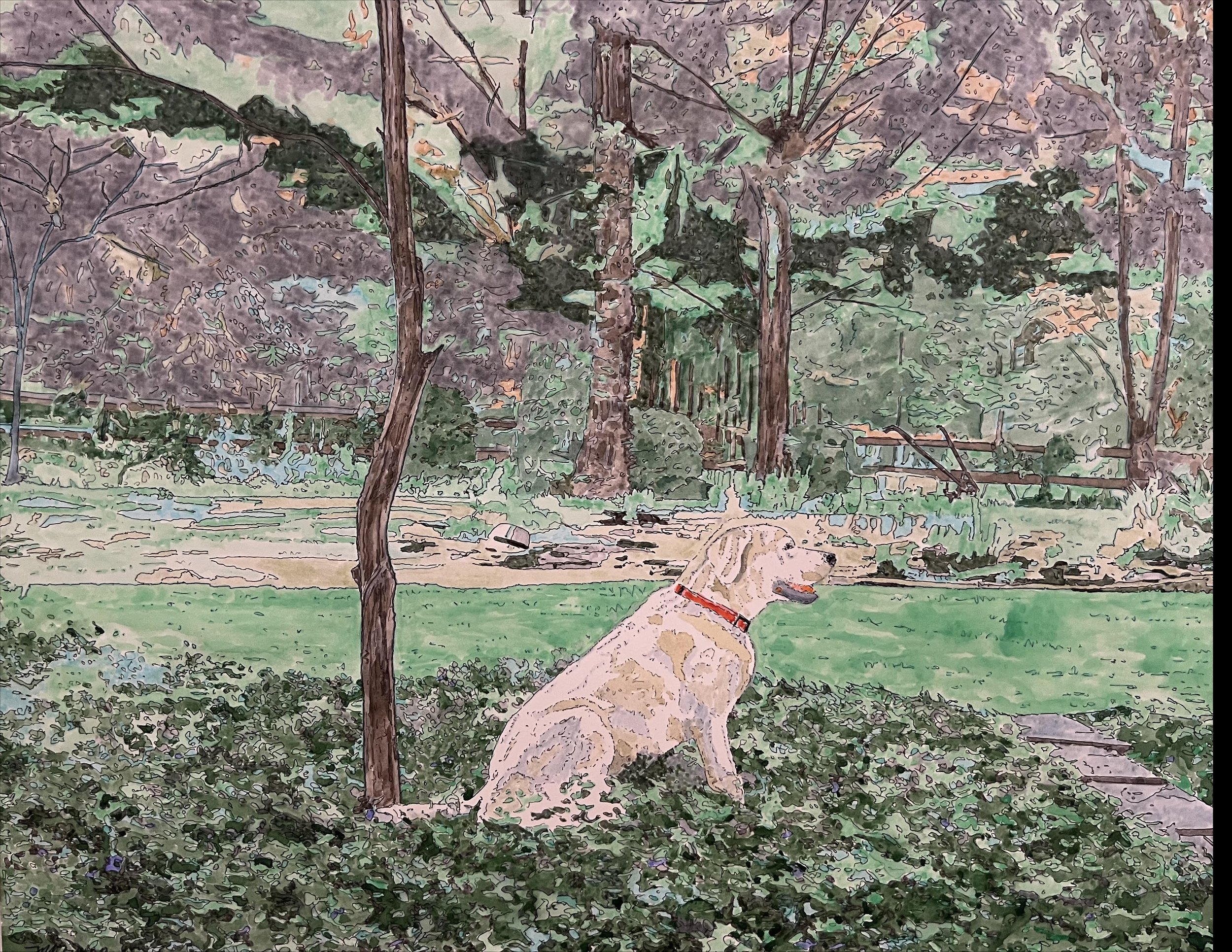 The Cool Spot