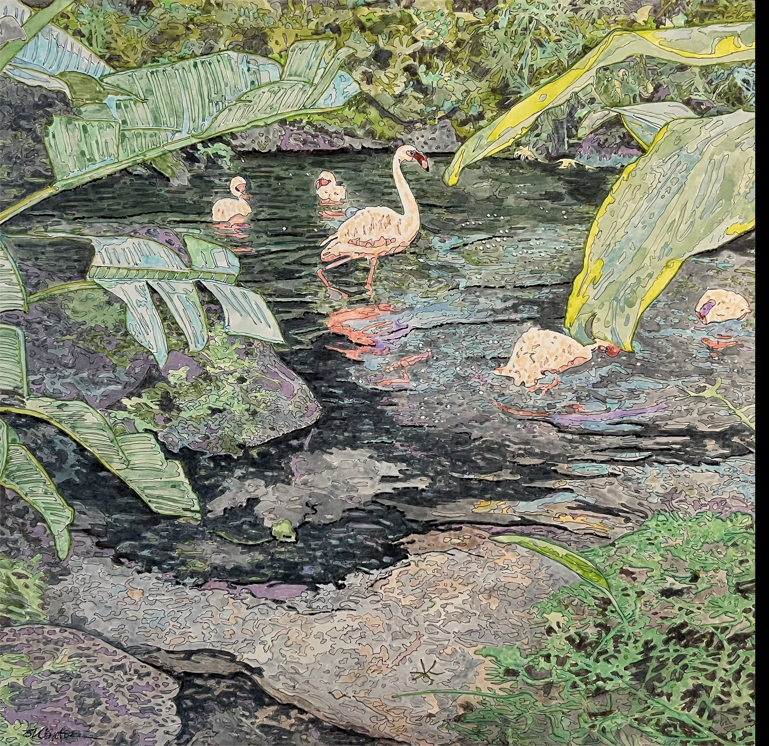 Return to Flamingo Pond