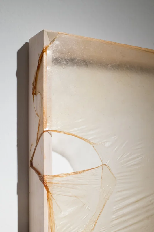 Skins (detail), Kombucha Culture on Wood Frame, 21x13 inches, 2015