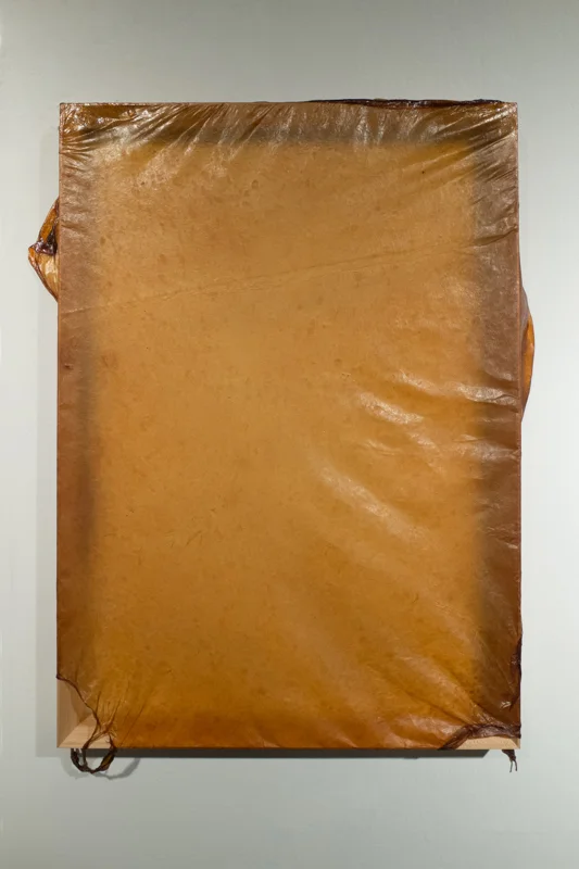 Skins, Kombucha Culture on Wood Frame, 21x13 inches, 2015