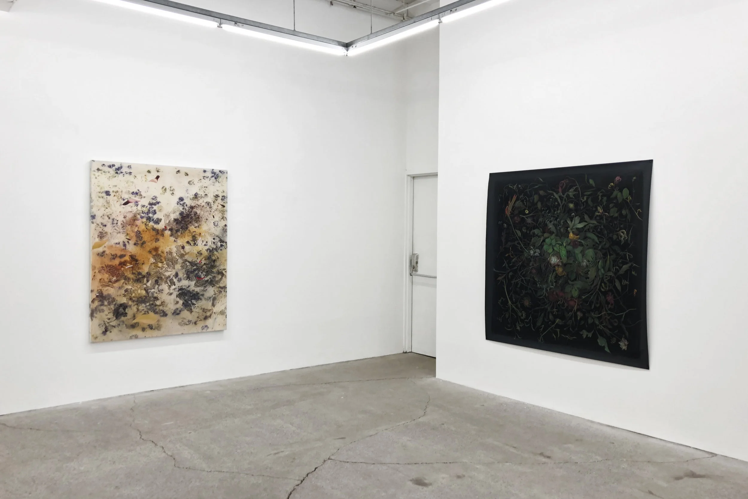 Coetus Floreus Installation, Group Exhibition at Galerie Nicolas Robert, Montreal, QC, 2018