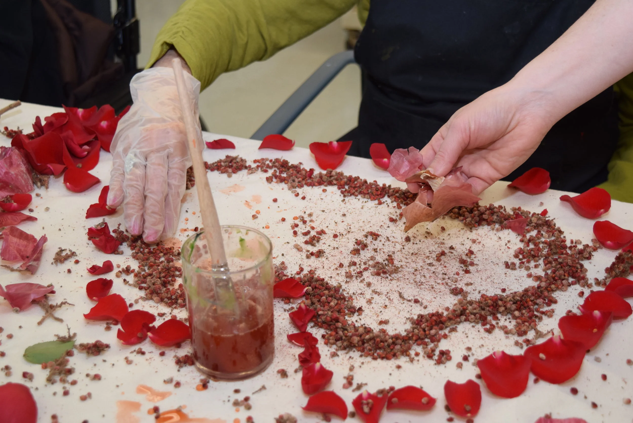Eco-printing workshop with residents of the Perley and Rideau Veterans’ Health Centre (Ottawa, On) under the guidance of Creative Arts Instructor Gillian King and Spiritual Health Practitioner Jessie Stephenson, in collaboration with Therapeutic Recreation Creative Arts - Horticultural Services and Support Services. 2019.