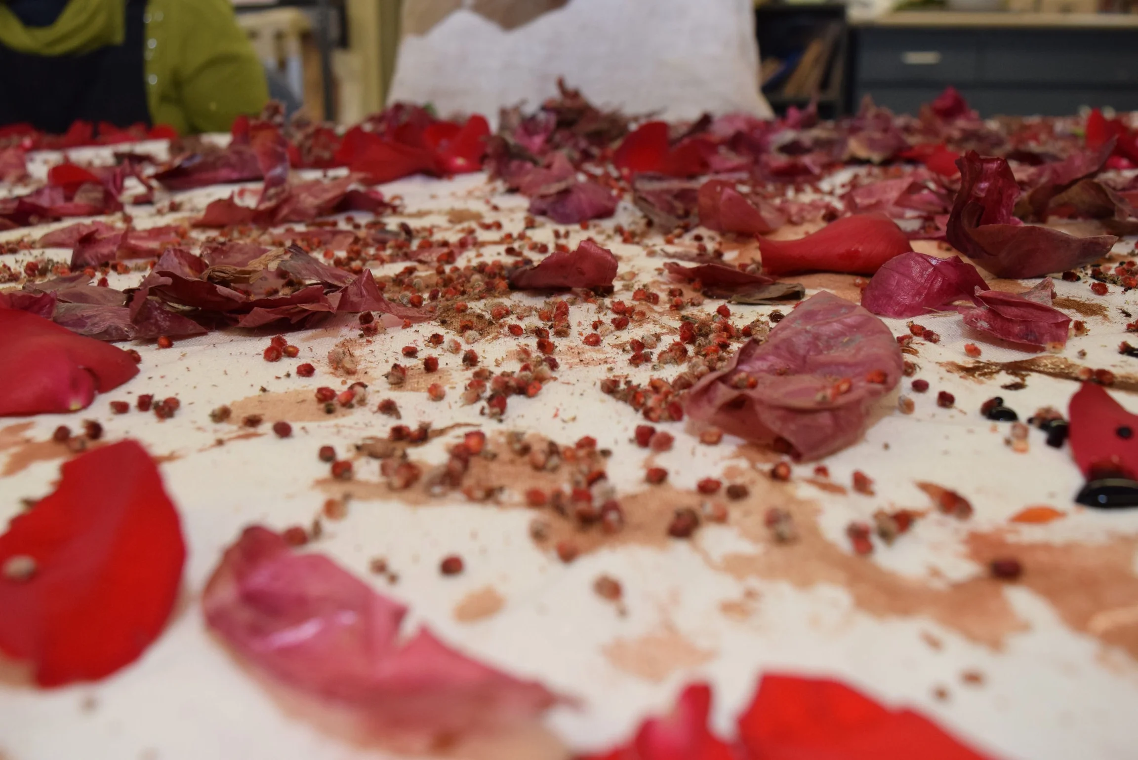 Eco-printing workshop with residents of the Perley and Rideau Veterans’ Health Centre (Ottawa, On) under the guidance of Creative Arts Instructor Gillian King and Spiritual Health Practitioner Jessie Stephenson, in collaboration with Therapeutic Recreation Creative Arts - Horticultural Services and Support Services. 2019.