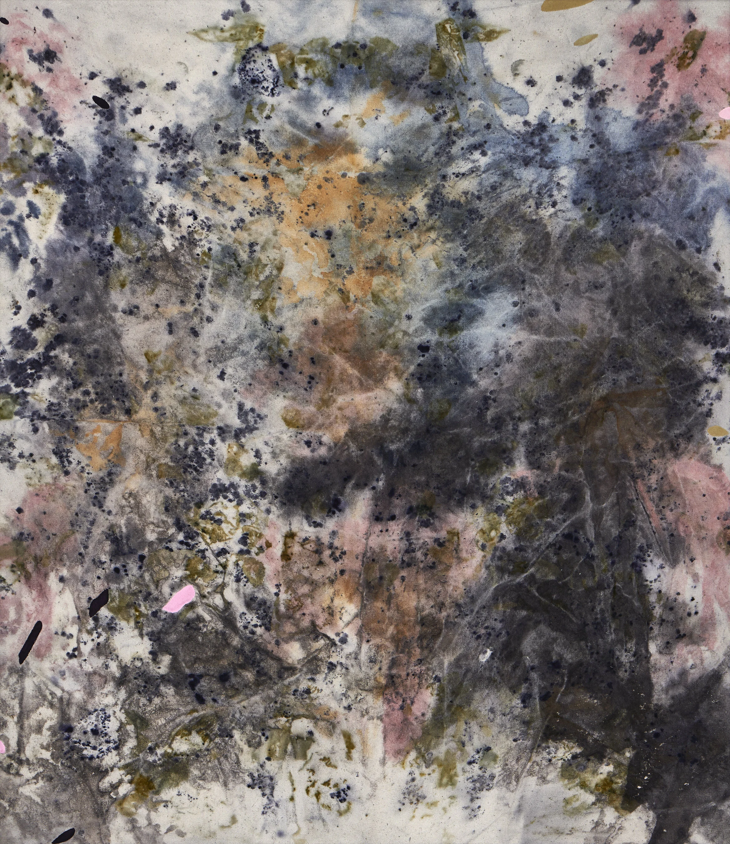Juglone, Acrylic, Rust Sediments, and Various Plant Materials (including Black Walnut, Indigo, Madder Root, Onion Skins, Roses, Sumac, and Wildflowers) on Canvas, 30 x 26 inches, 2019