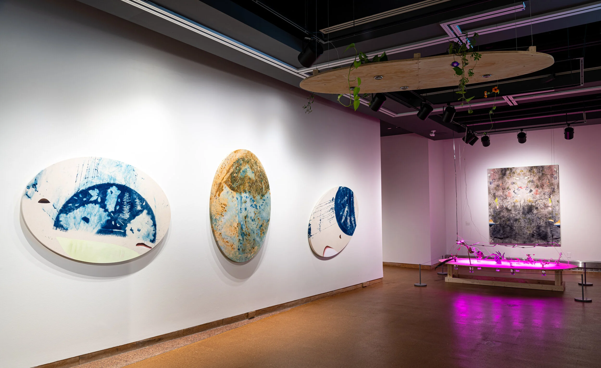 TERRAMATTER Installation, Group Exhibition at the City Hall Art Gallery, Ottawa, On, 2019