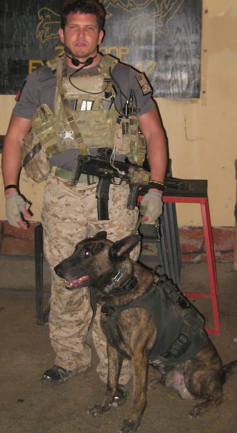 navy seal k9