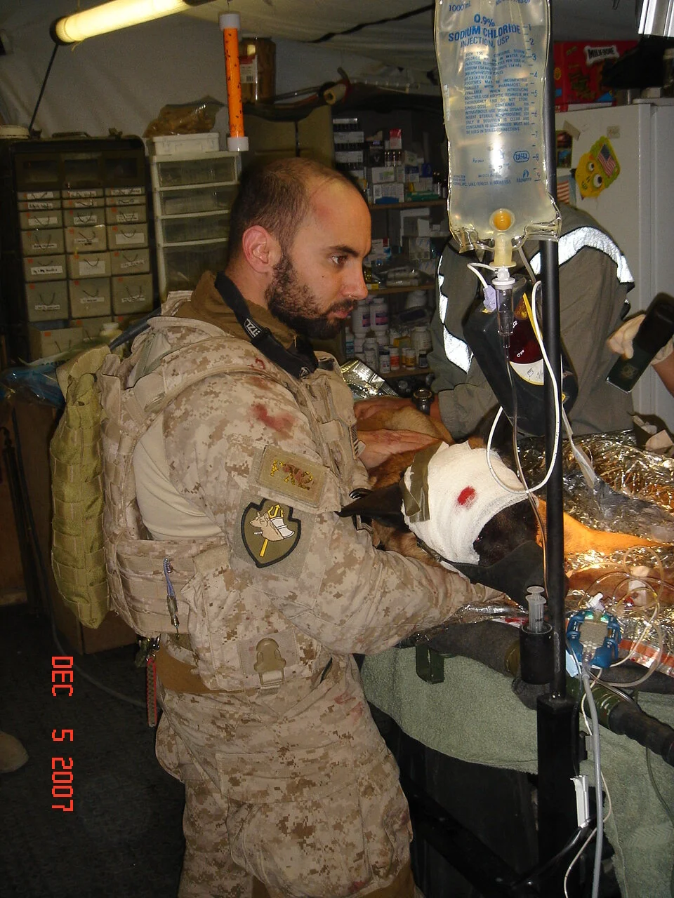 GRP 156-Cry Havoc And Let Slip The Dogs Of War : Special Missions Dog Handler Billy Clark