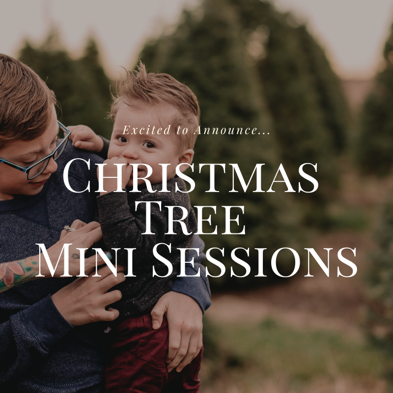 Artsmith Photography's 2nd Annual Christmas Tree Mini Sessions 