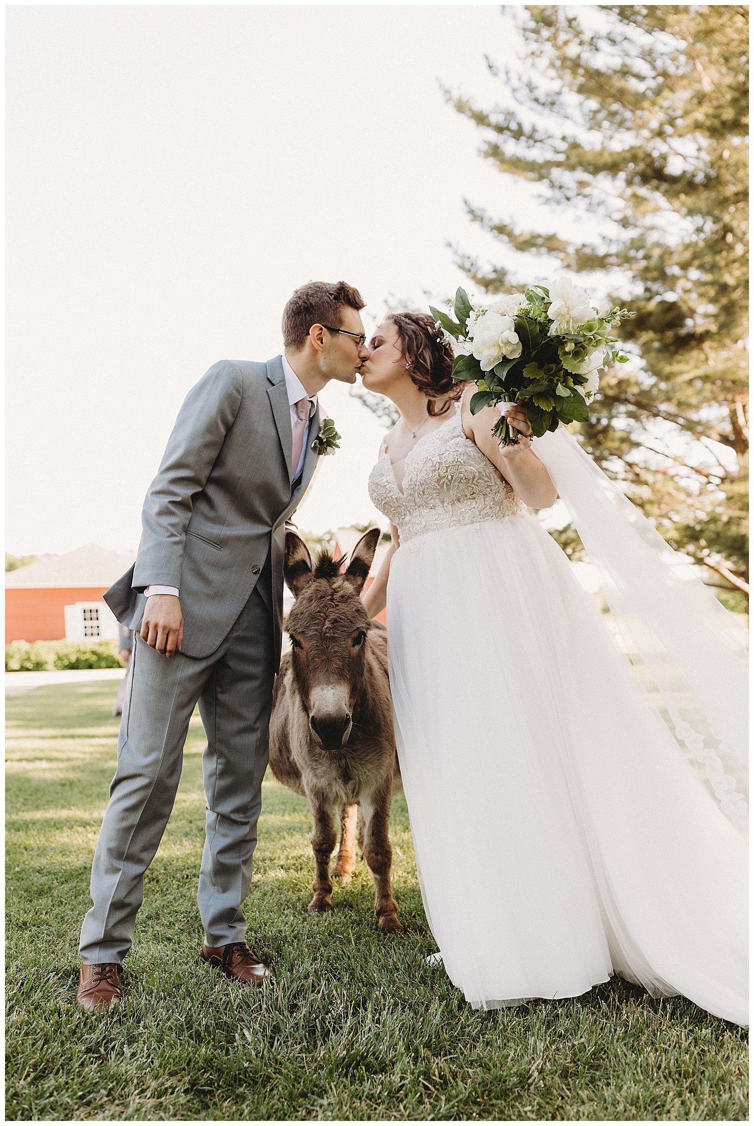  We got engagement pictures with the donkeys so I’m glad we could come full circle and capture their cuteness on the wedding day too! Thanks for the photo-op Earl! (I think that’s his name…) 