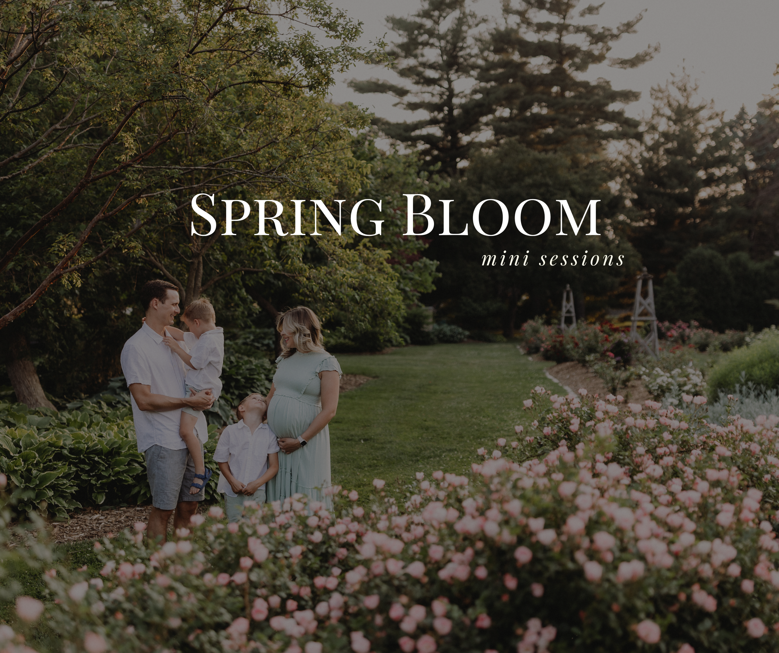 Spring Bloom Mini Sessions at Vander Veer in Davenport 