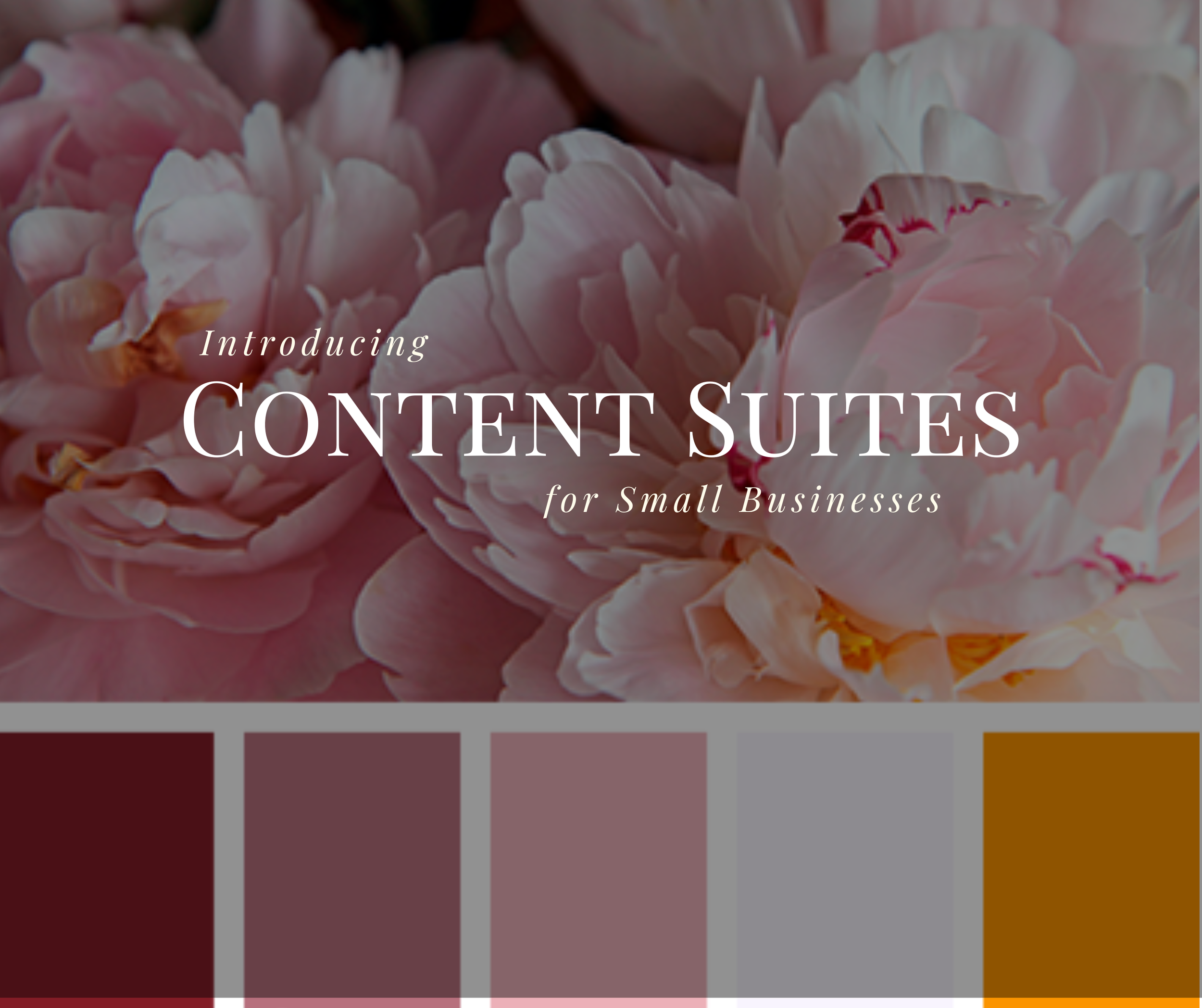 Introducing the Content Suite