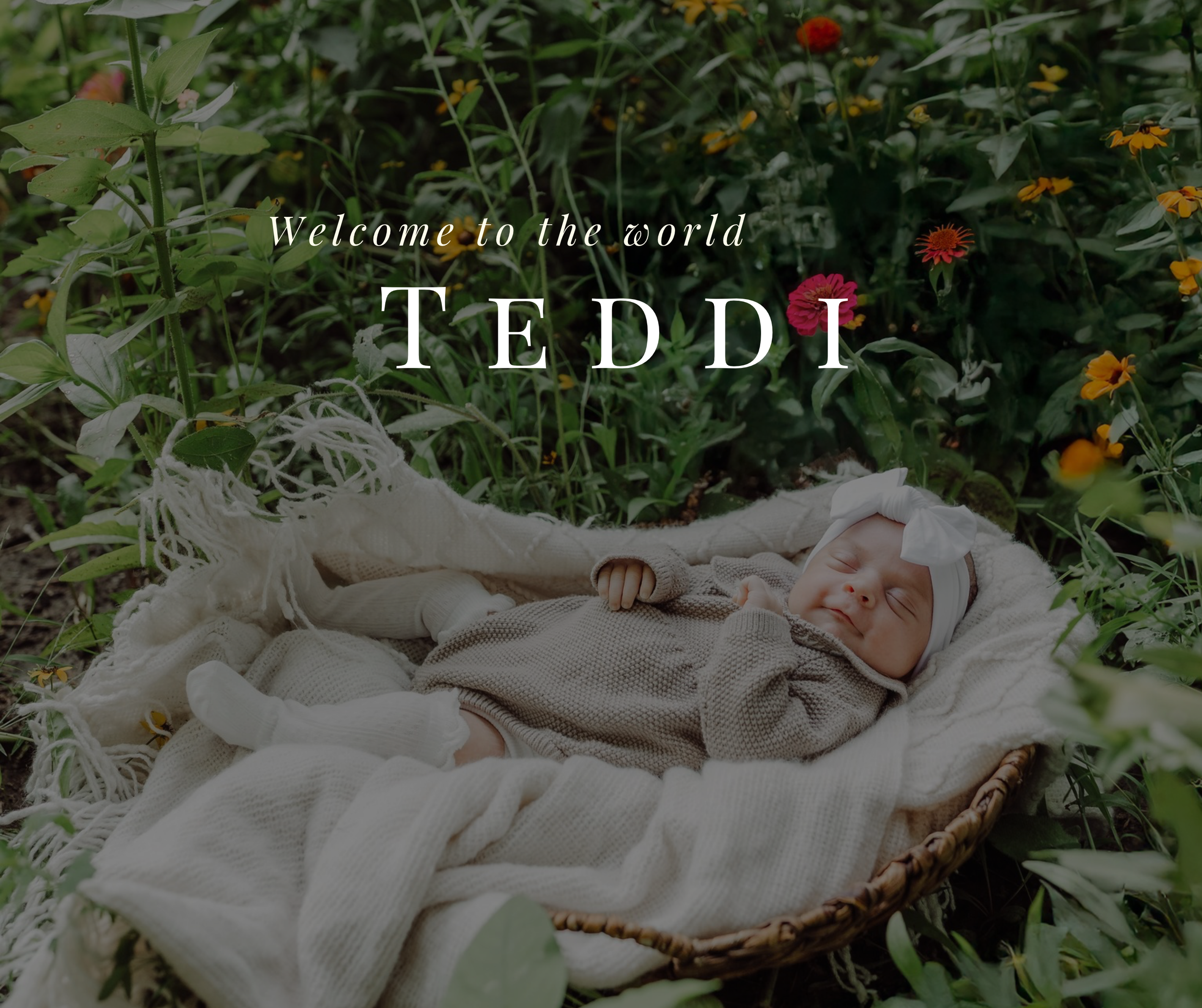 Teddi | Wildflower Newborn Session