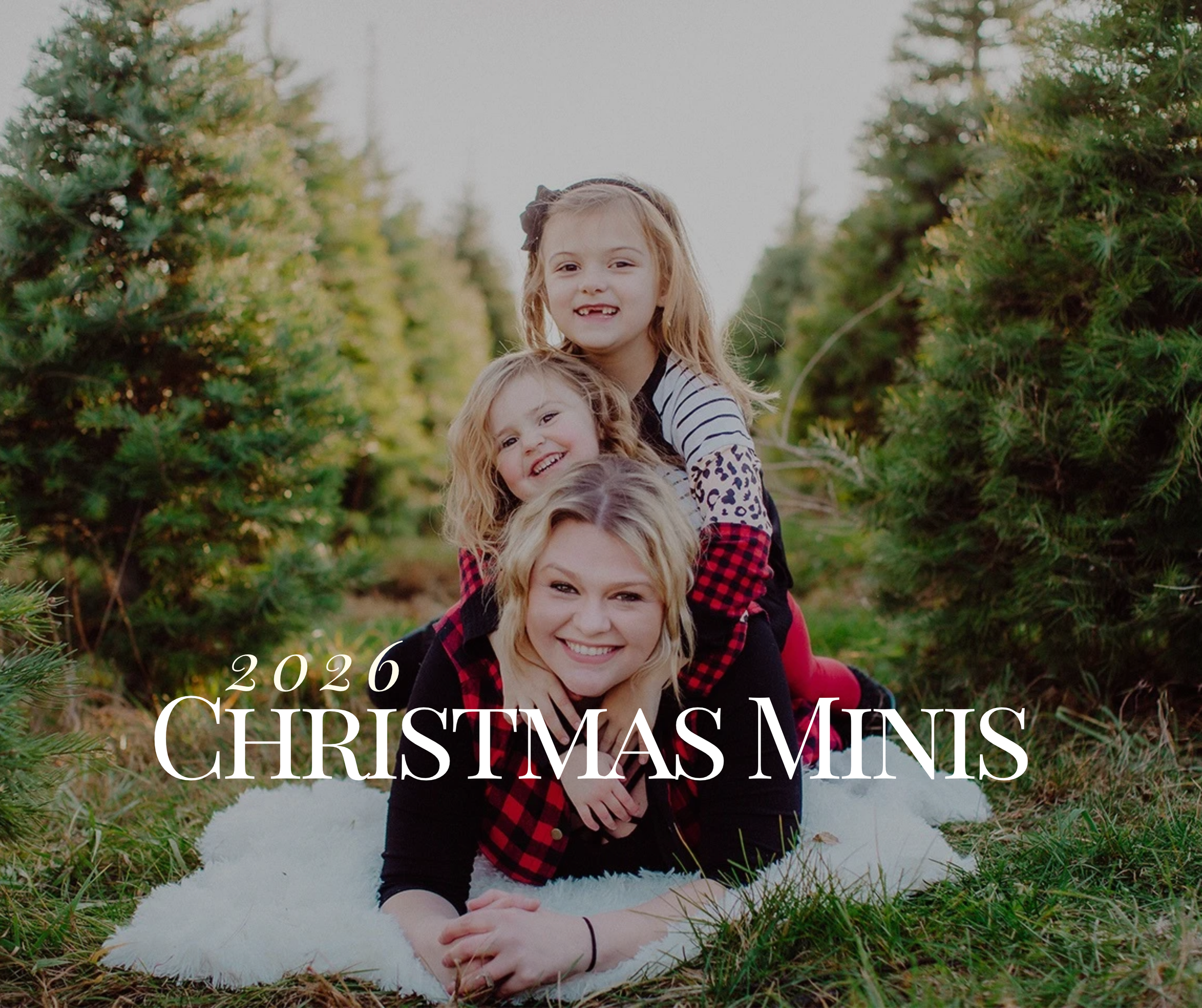 Christmas Minis are Here | Indoor and Outdoor Options Available!