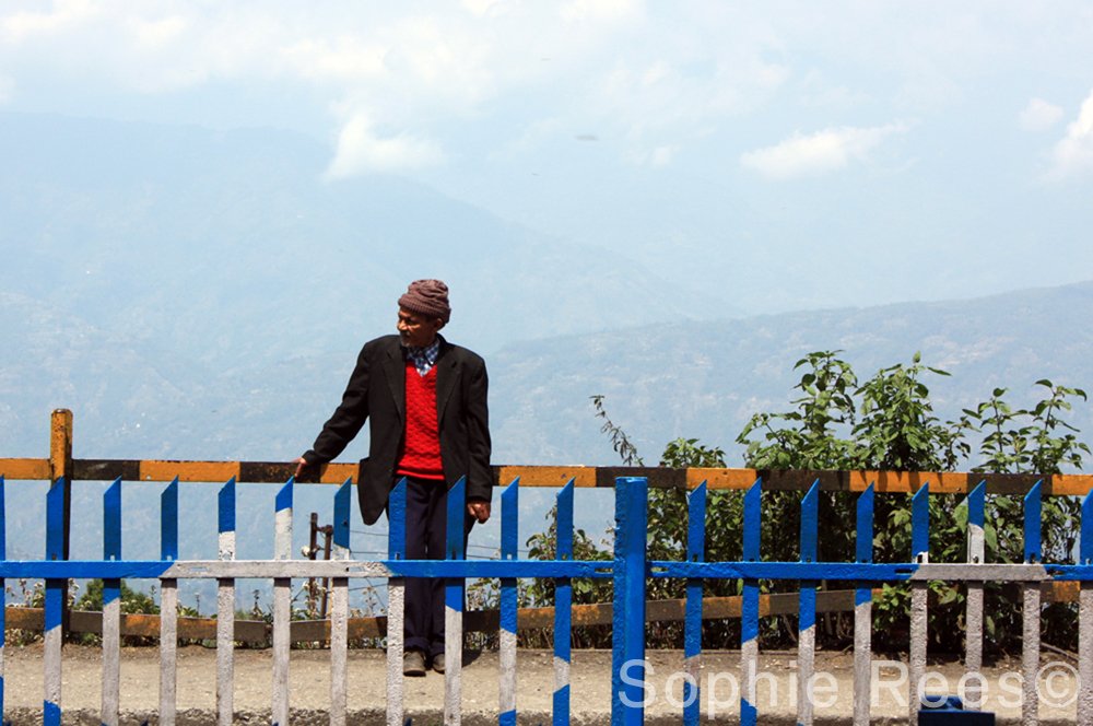 Last stop, Darjeeling, 2013