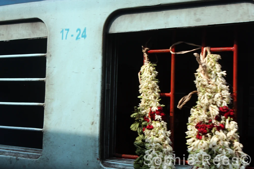 17 - 24, Kerala, 2013
