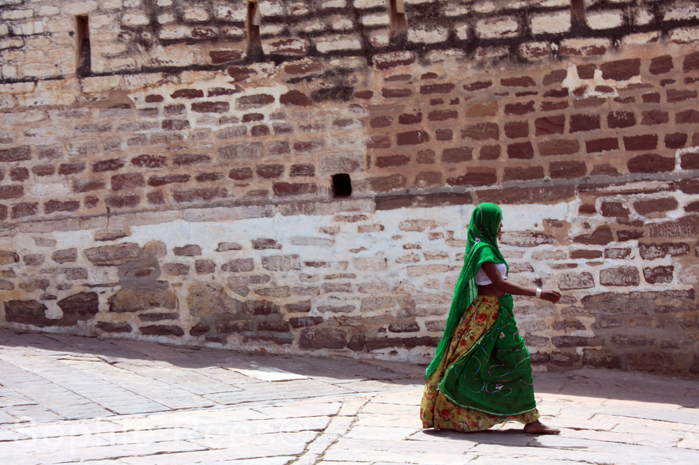 Fort, Jodhpur, 2013
