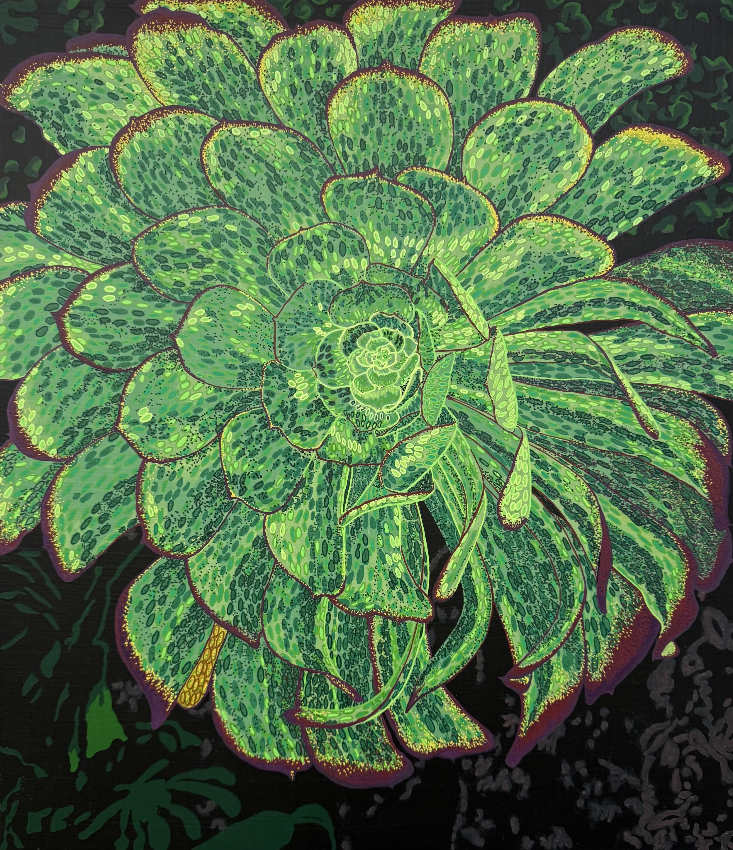 Tree Houseleek (Irish Rose Plant).jpeg