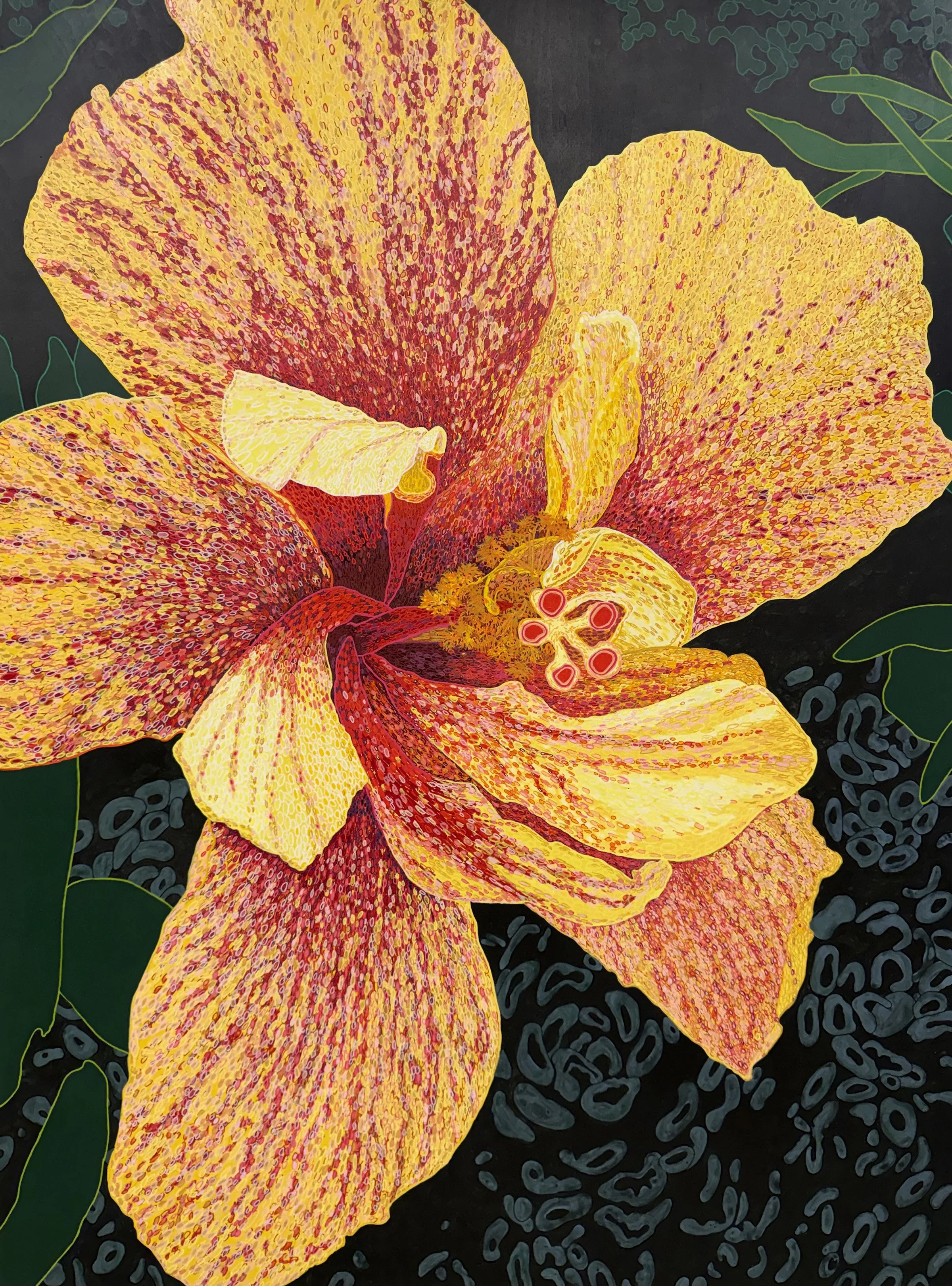 The Travelong Sun Hibiscus.jpeg